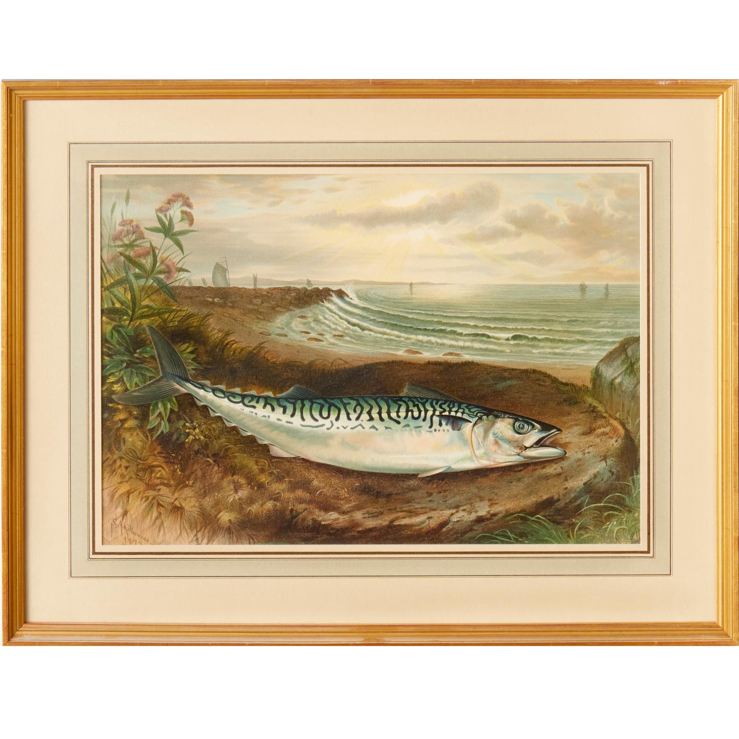 S. A. Kilbourne: „Game Fishes of the United States“, 4 gerahmte Chromolithographien  (amerikanisch) im Angebot