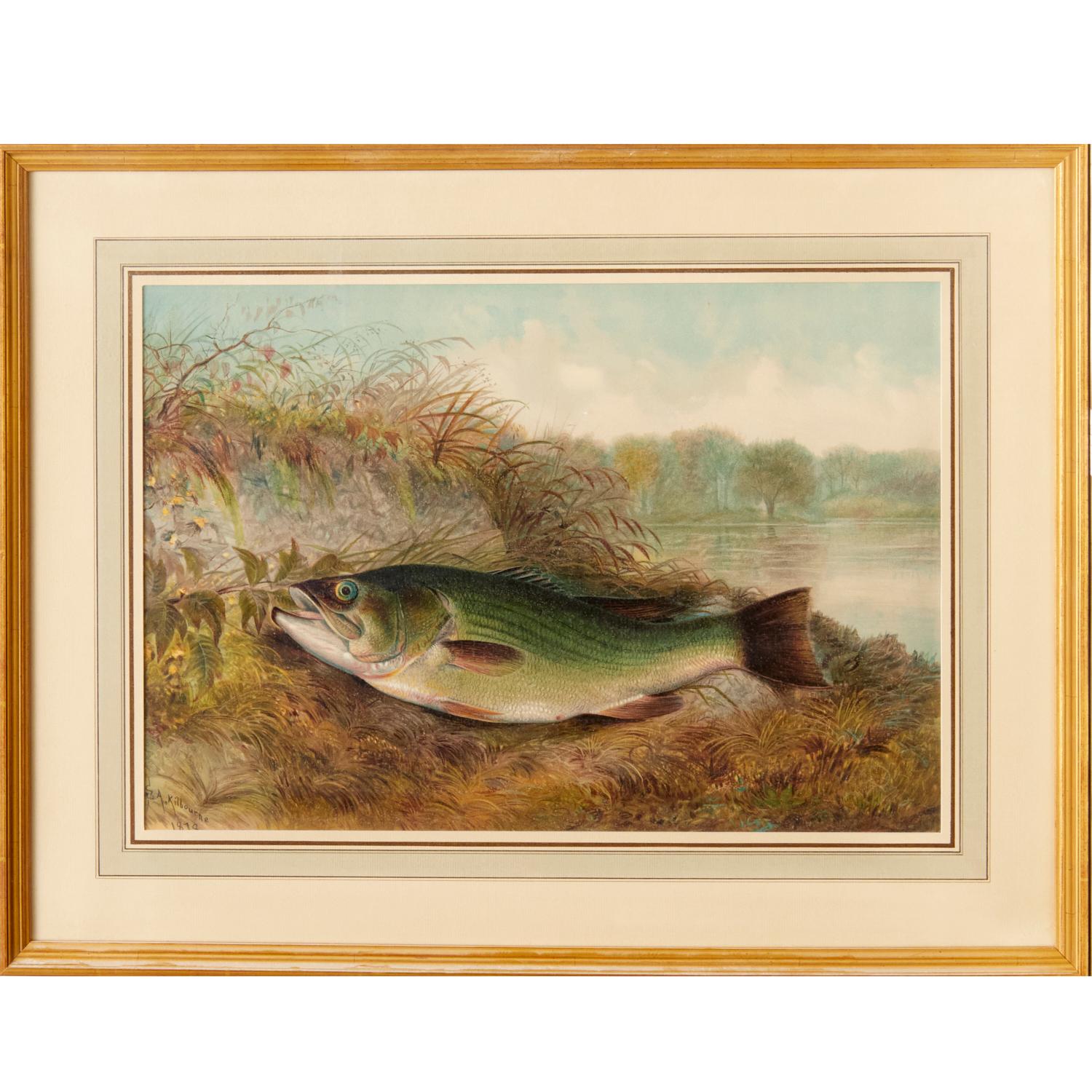 S. A. Kilbourne: „Game Fishes of the United States“, 4 gerahmte Chromolithographien  im Zustand „Gut“ im Angebot in Morristown, NJ