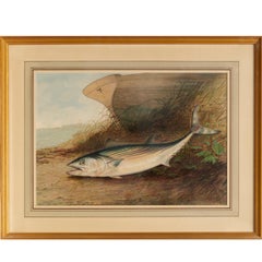 S. A. Kilbourne "Game Fishes of the United States" 6 Framed Chromolithographs