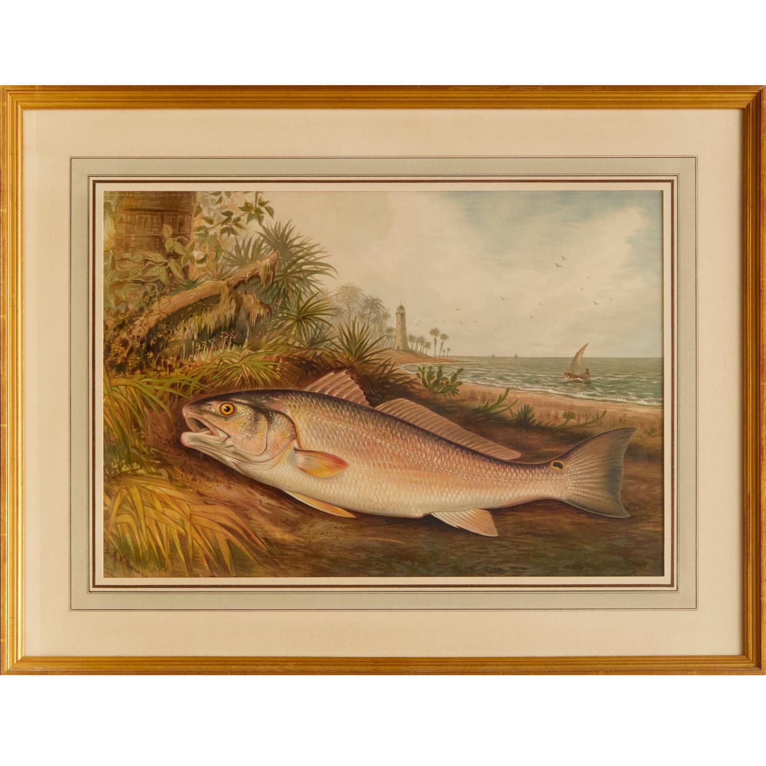 S. A. Kilbourne: „Game Fishes of the United States“, 6 gerahmte Chromolithographien  (amerikanisch) im Angebot