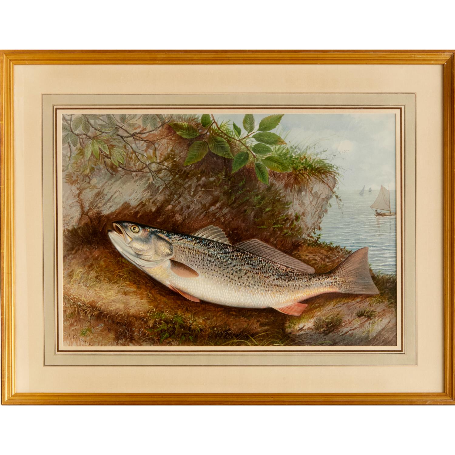 S. A. Kilbourne: „Game Fishes of the United States“, 6 gerahmte Chromolithographien  im Zustand „Gut“ im Angebot in Morristown, NJ