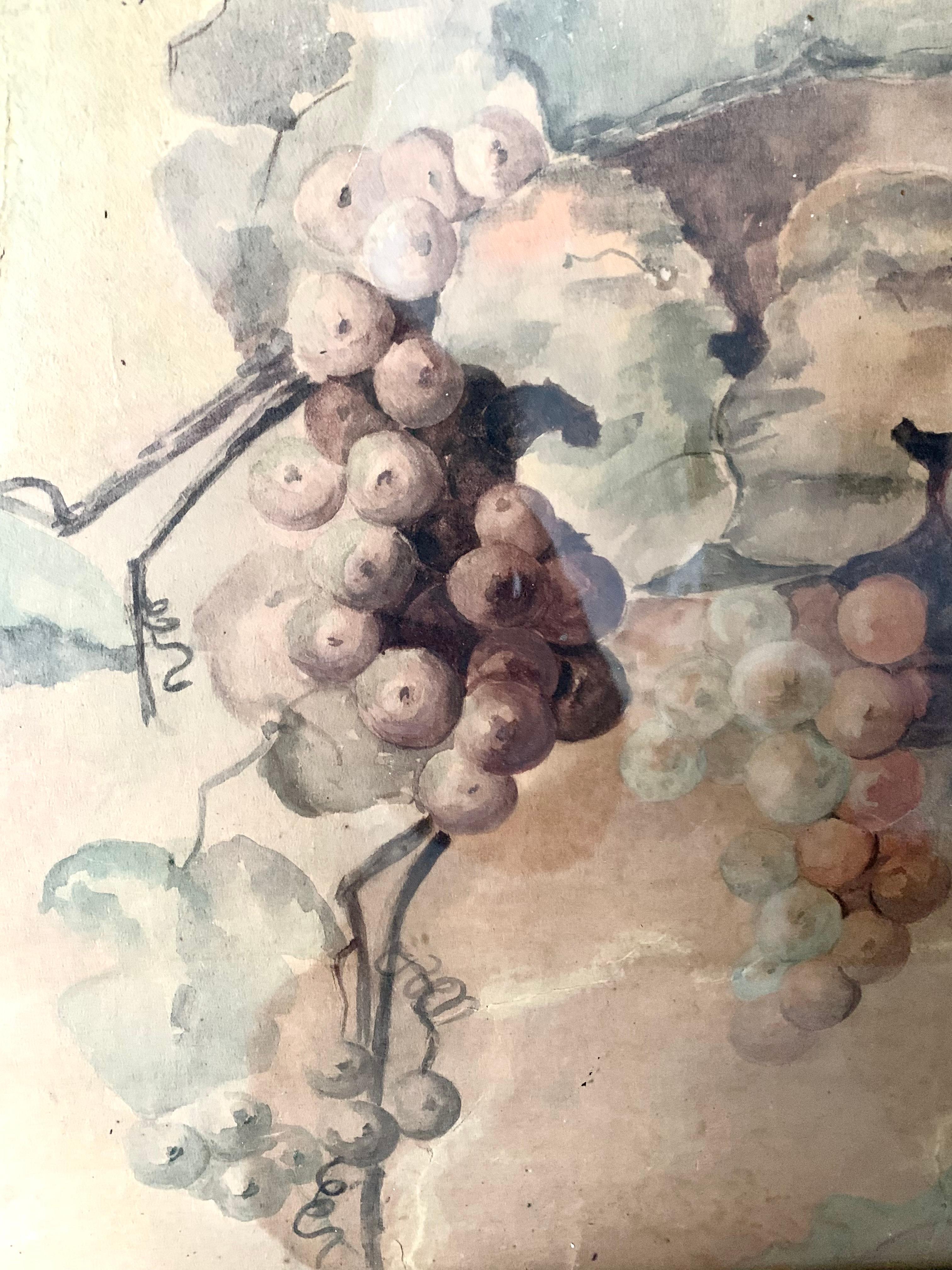 Belle aquarelle représentant des grappes de raisins.les couleurs donnent une certaine poésie à l'œuvre. Cet ouvrage est signé S. E. Burns et daté de 1906.