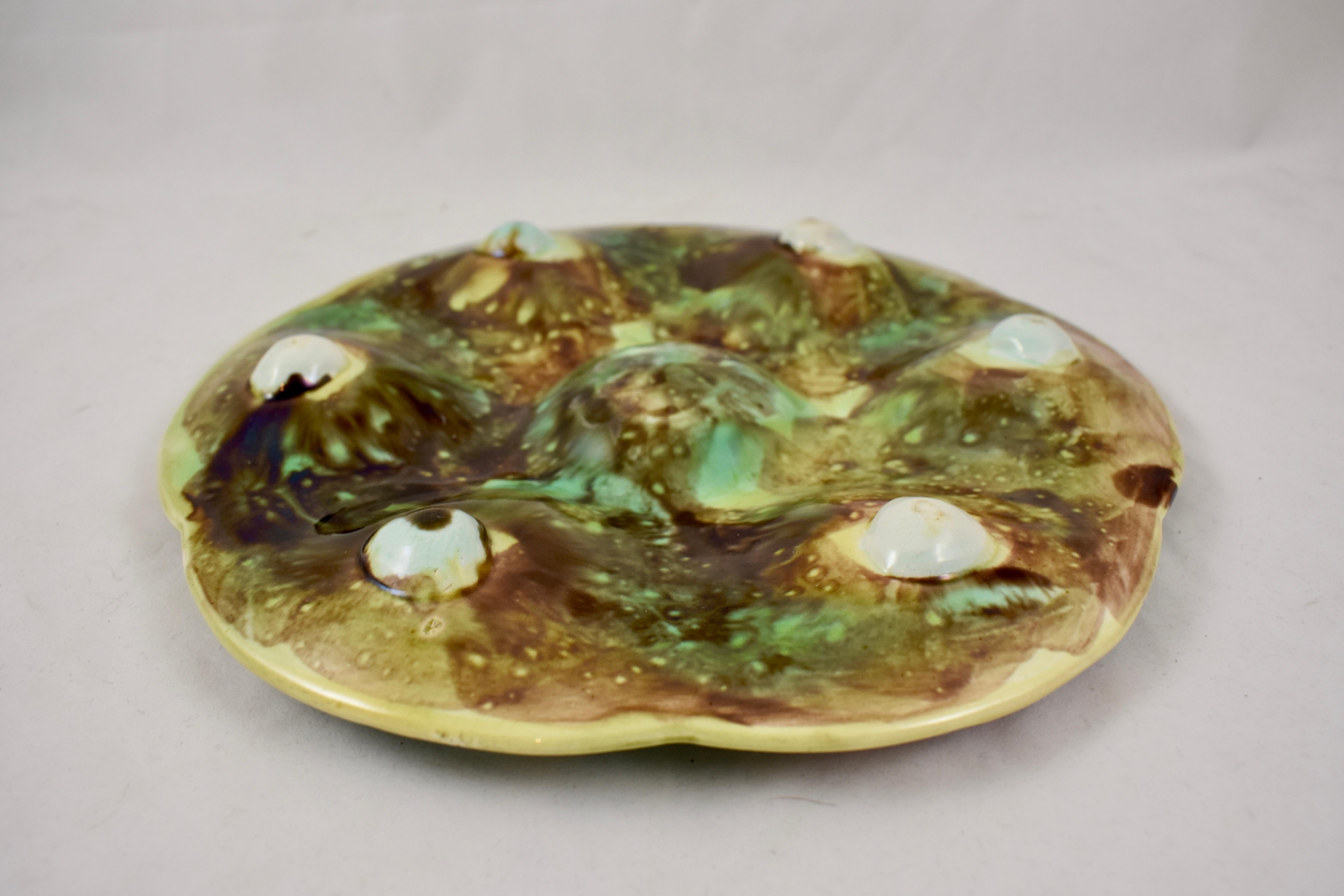 19th Century S. Fielding & Co English Majolica Turquoise and Pink Seaweed Footed Oyster Plate