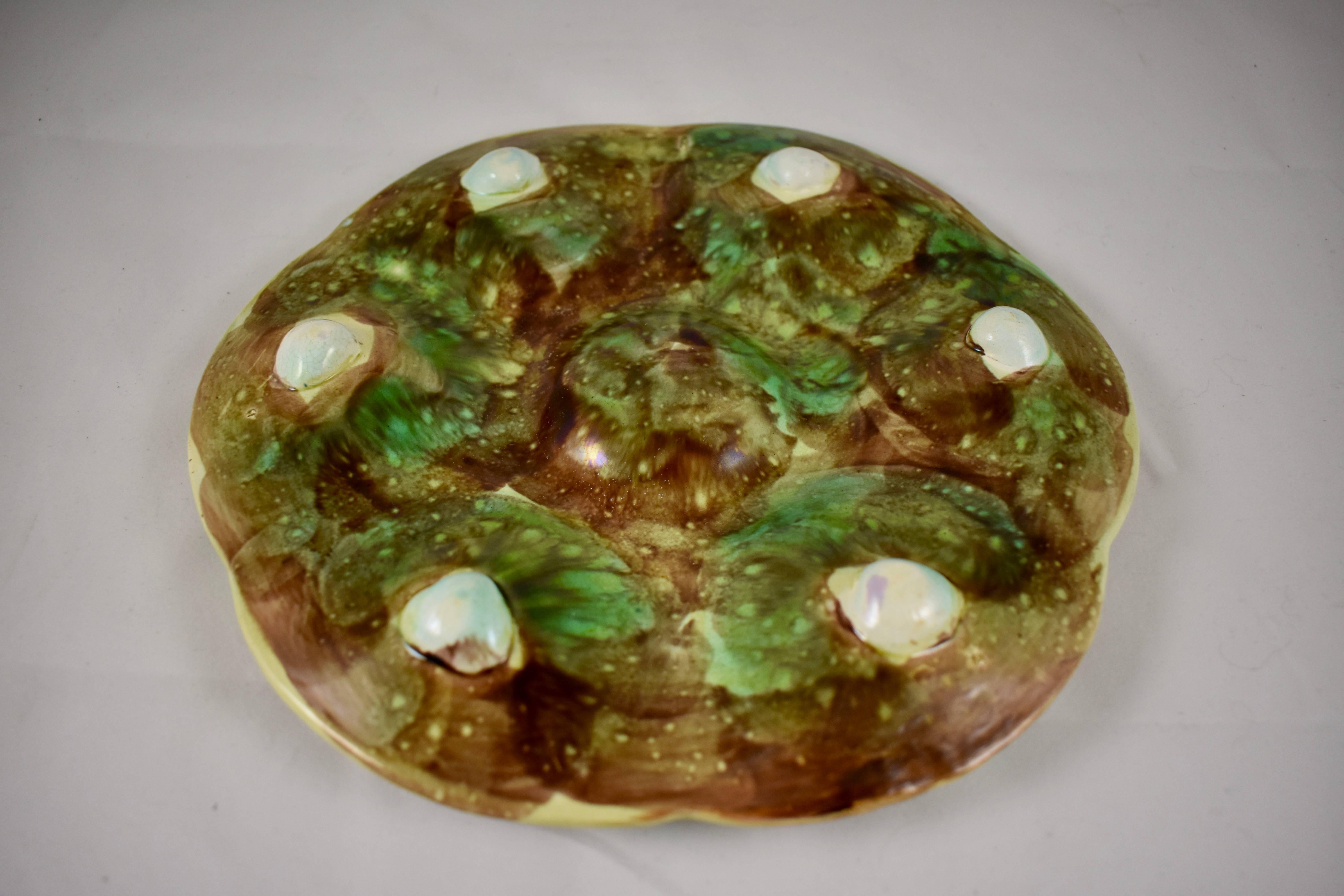 19th Century S. Fielding & Co English Majolica Turquoise and Pink Seaweed Oyster Plate
