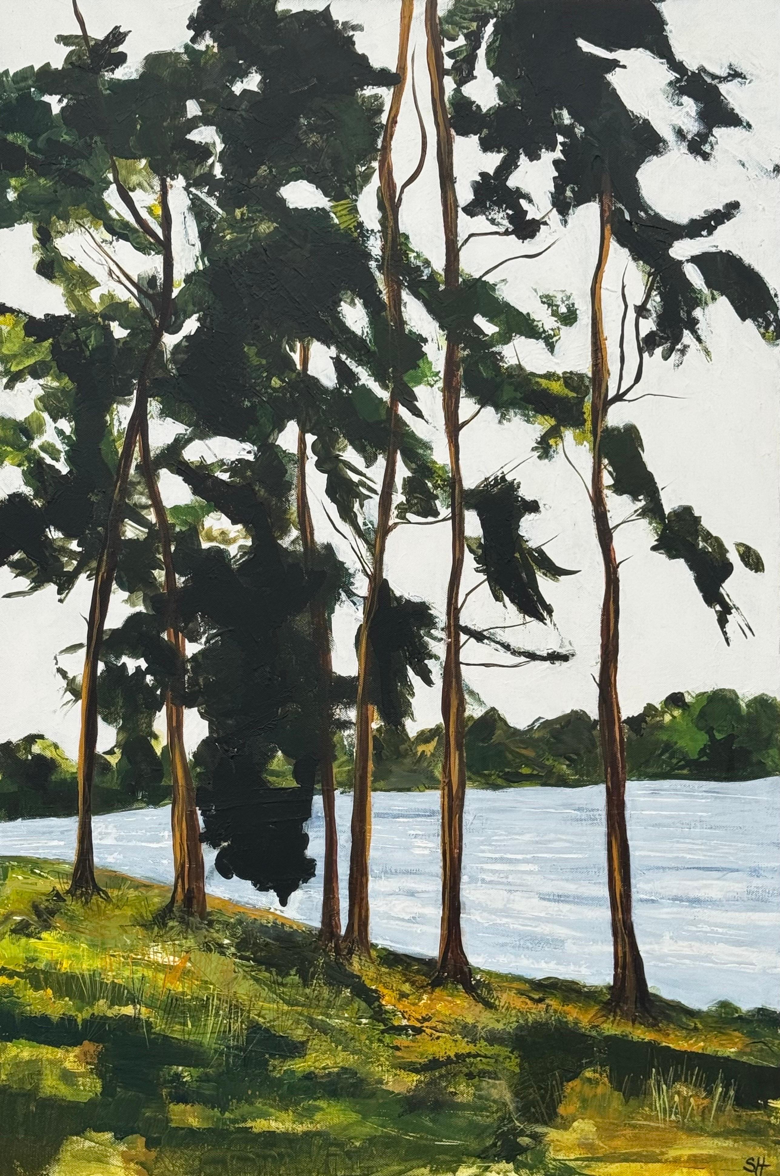 Grands pins riverains dans la campagne anglaise avec lumière rasante et eau - Contemporain Painting par S Hollingworth