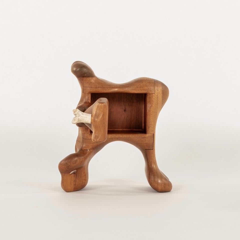 Organico moderno S. Scatola scultorea astratta in legno scolpito di Hoover in vendita