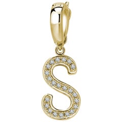 S Initial Pendant/Charm