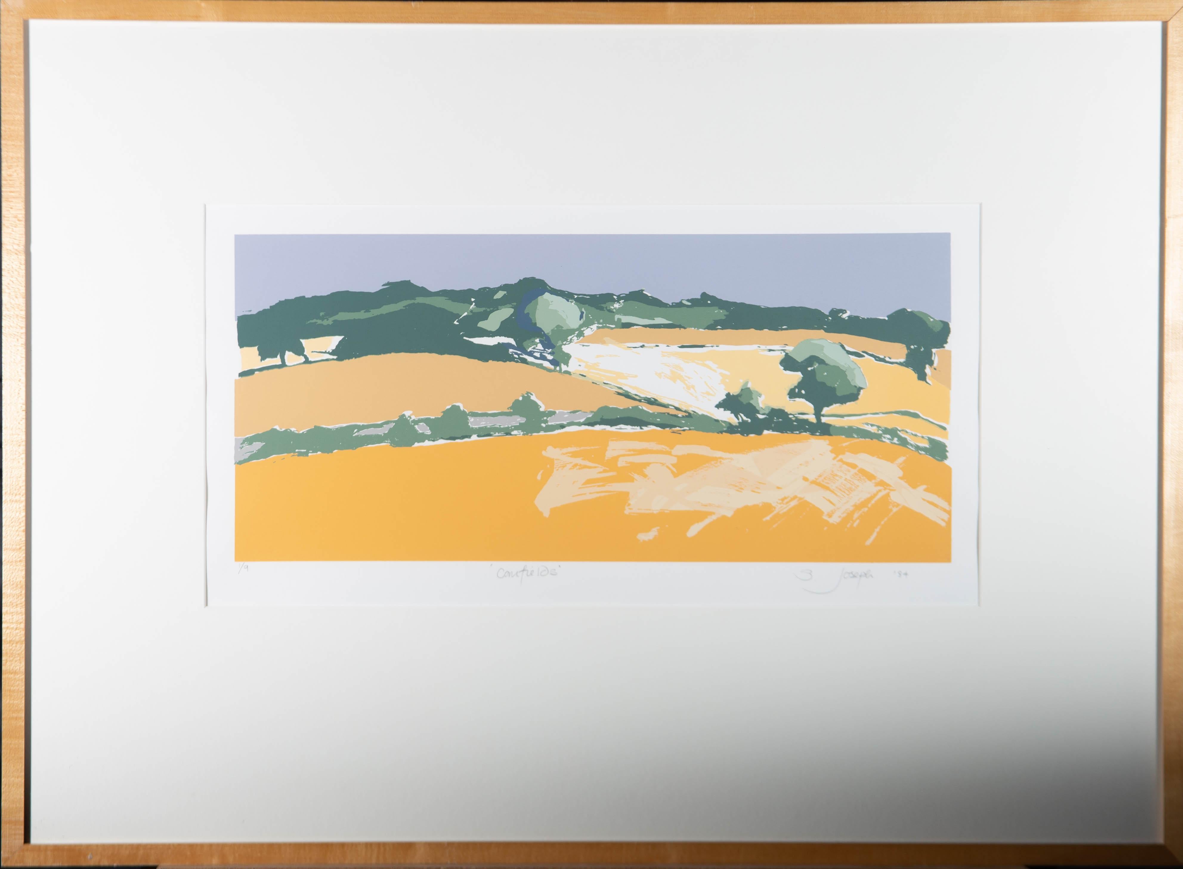A striking silk screen of a very limited run, showing rolling cornfields. The artist has numbered (1/9), inscribed, dated and signed to the lower edge. The print is presented in a simple wood frame with glazing and a wide card mount. On wove.
