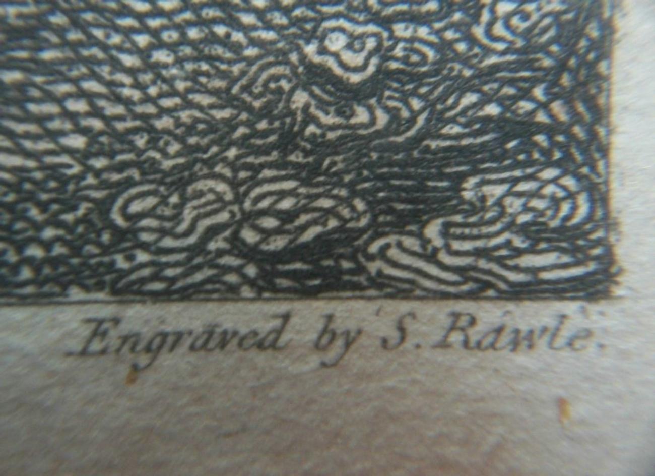 S. RAWLE - VIEW OF RYDE - Seltener gerahmter antiker Kupferstich - K.K. - CIRCA 1806 (Handgefertigt) im Angebot