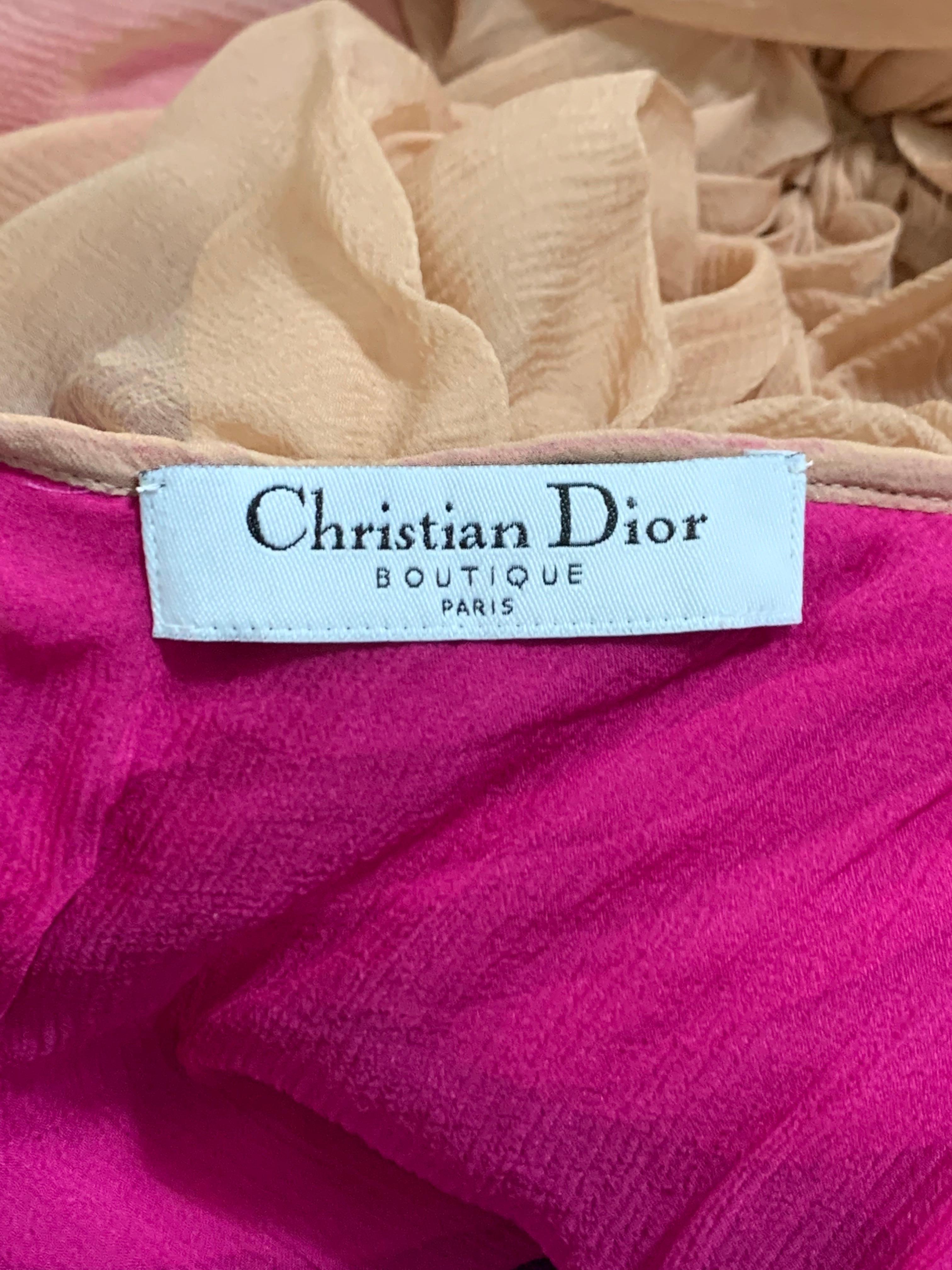Women's S/S 2006 Christian Dior John Galliano Runway Sheer Nude Pink Silk Gown Dress