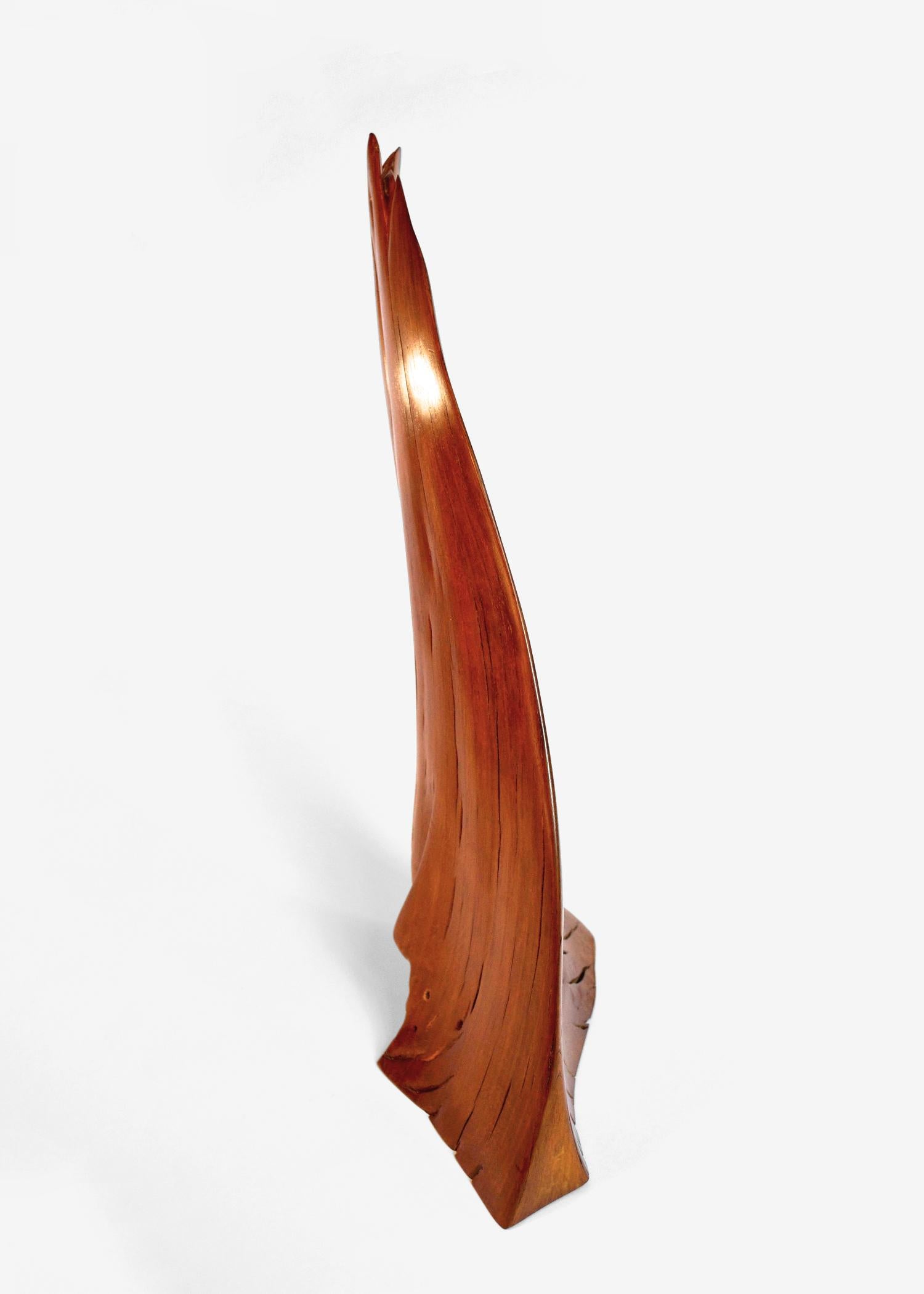 S0118 Decorative Object in Lime Tree Wood by Jörg Pietschmann
Dimensions: D 14 x W 23 x H 43 cm. 
Materials: Lime tree wood.

In Pietschmann’s sculptures, trees that for centuries were part of a landscape and founded in primordial forces tell