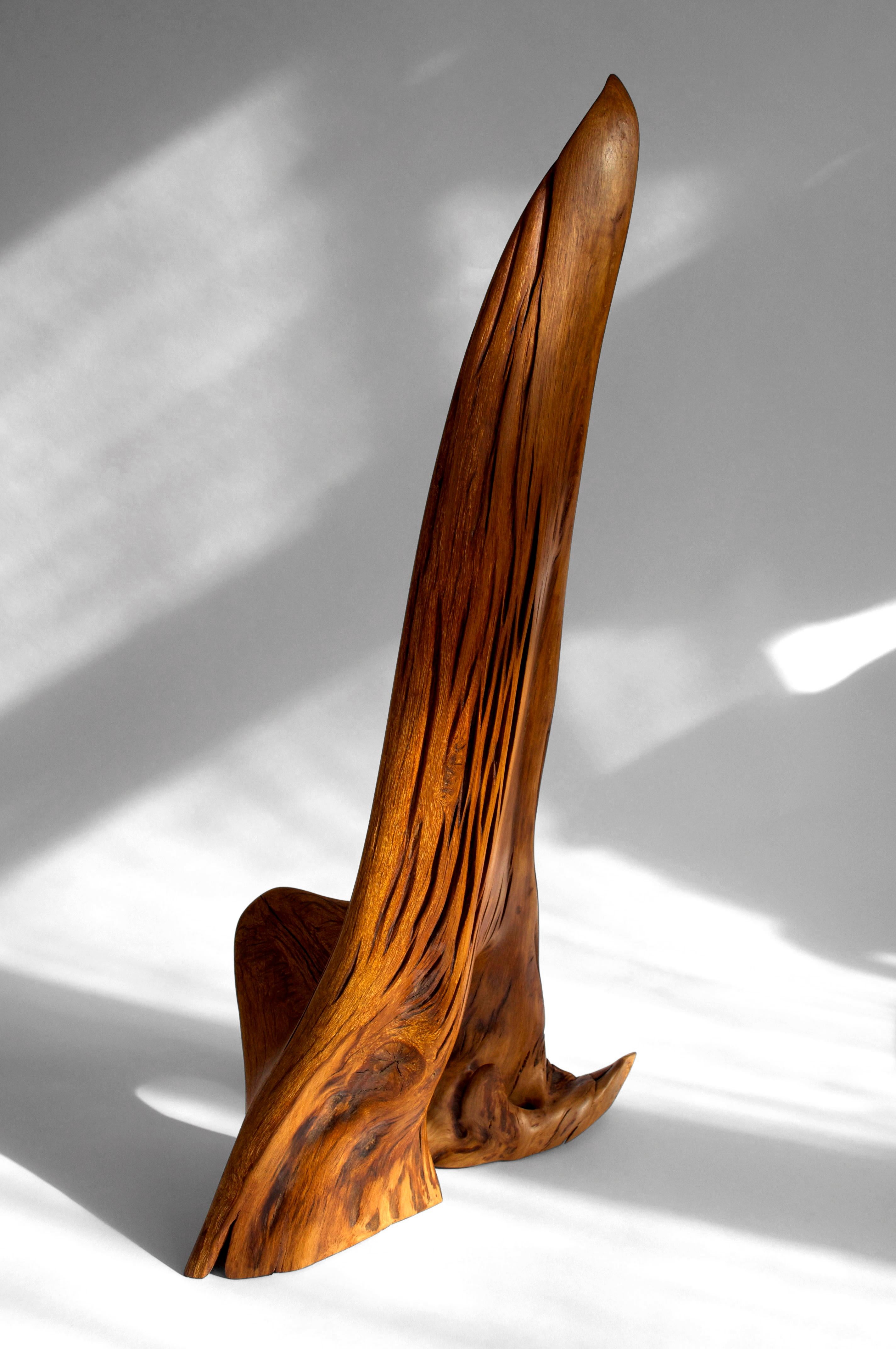 S0247 Decorative Object in Fir Wood by Jörg Pietschmann
Dimensions: D 22 x W 42 x H 81 cm. 
Materials: Fir wood.

In Pietschmann’s sculptures, trees that for centuries were part of a landscape and founded in primordial forces tell stories inscribed