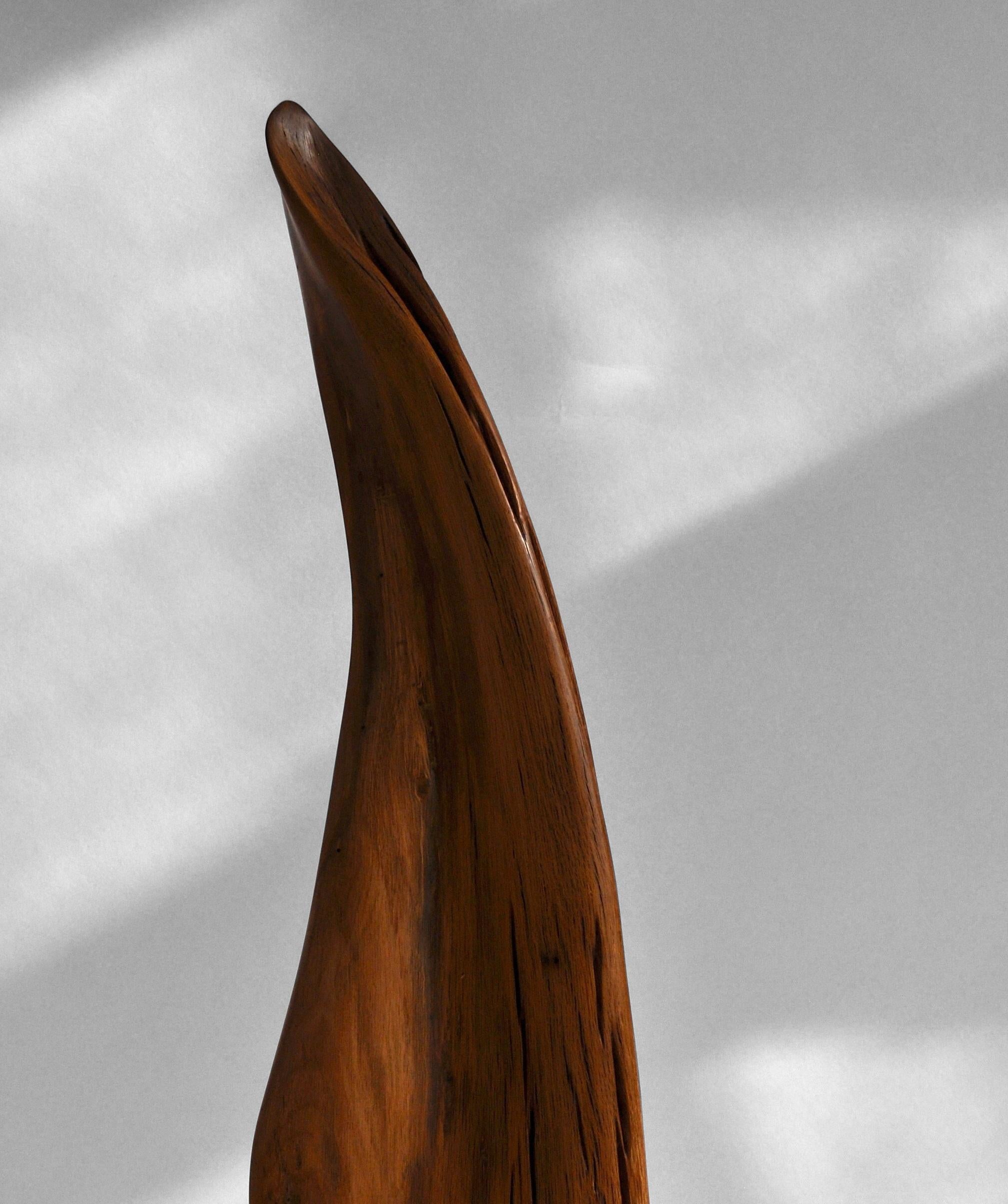 German S0247 Decorative Object in Fir Wood by Jörg Pietschmann For Sale