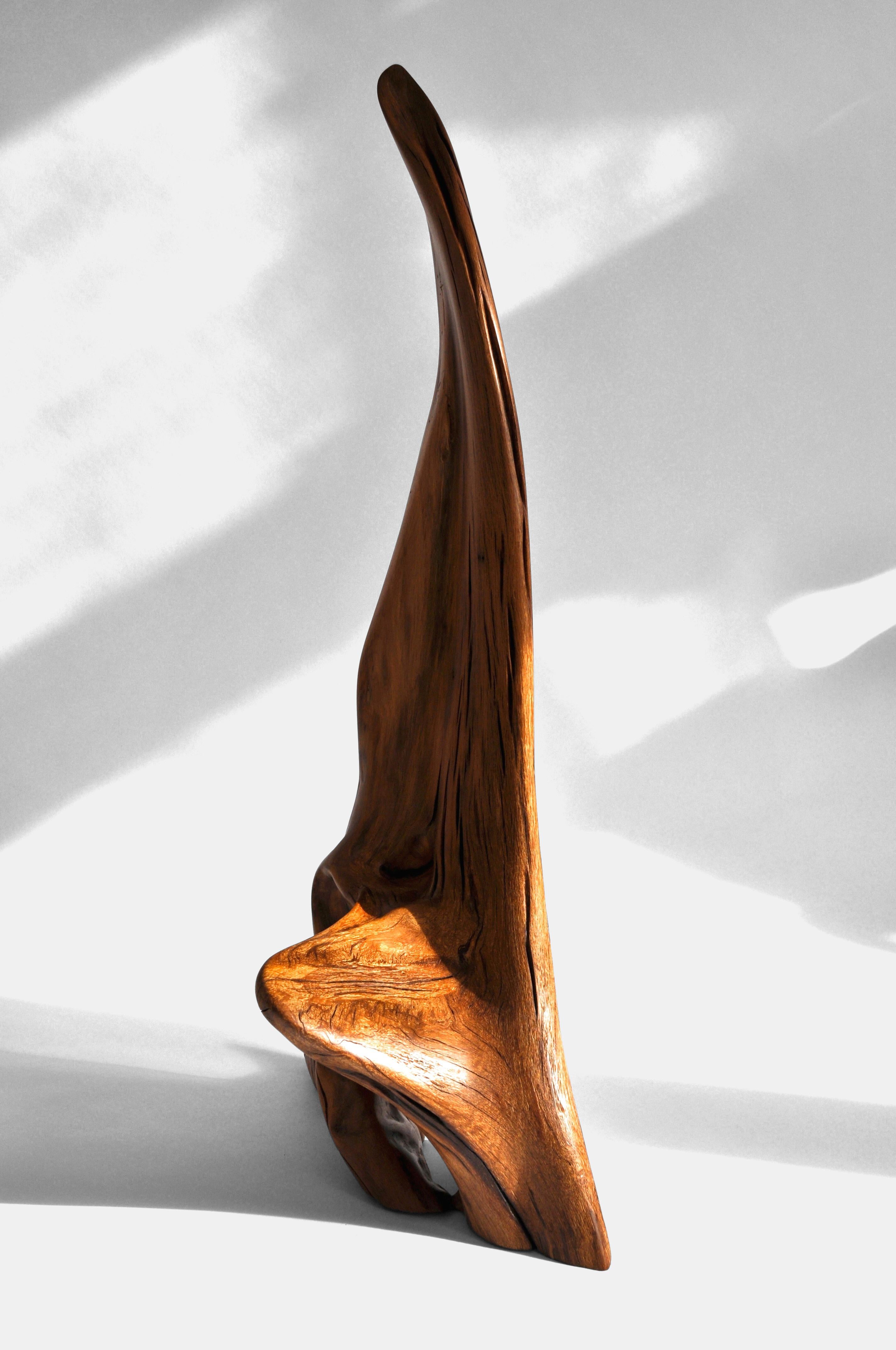 Other S0247 Decorative Object in Fir Wood by Jörg Pietschmann For Sale