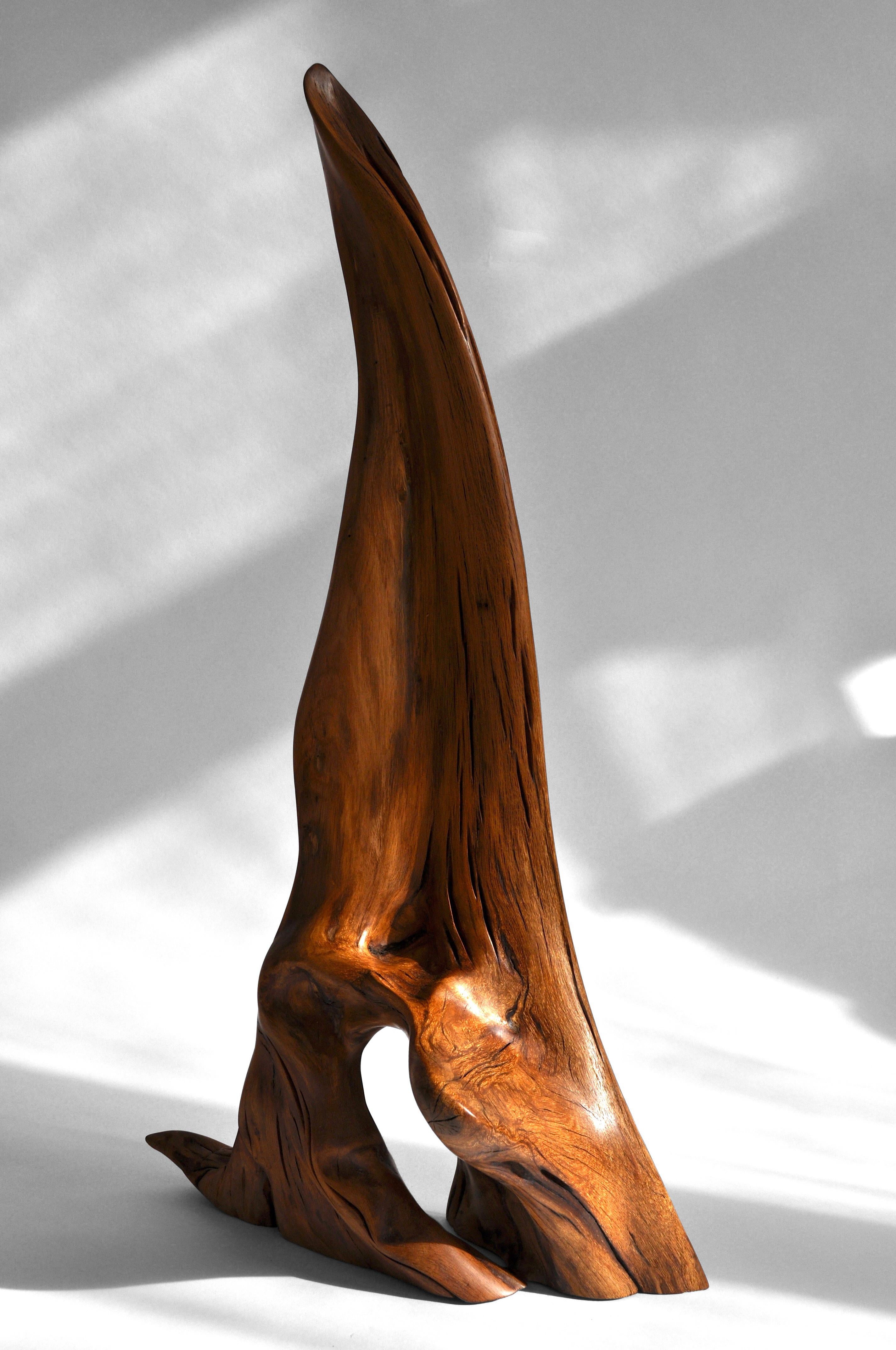 S0247 Decorative Object in Fir Wood by Jörg Pietschmann In New Condition For Sale In Geneve, CH