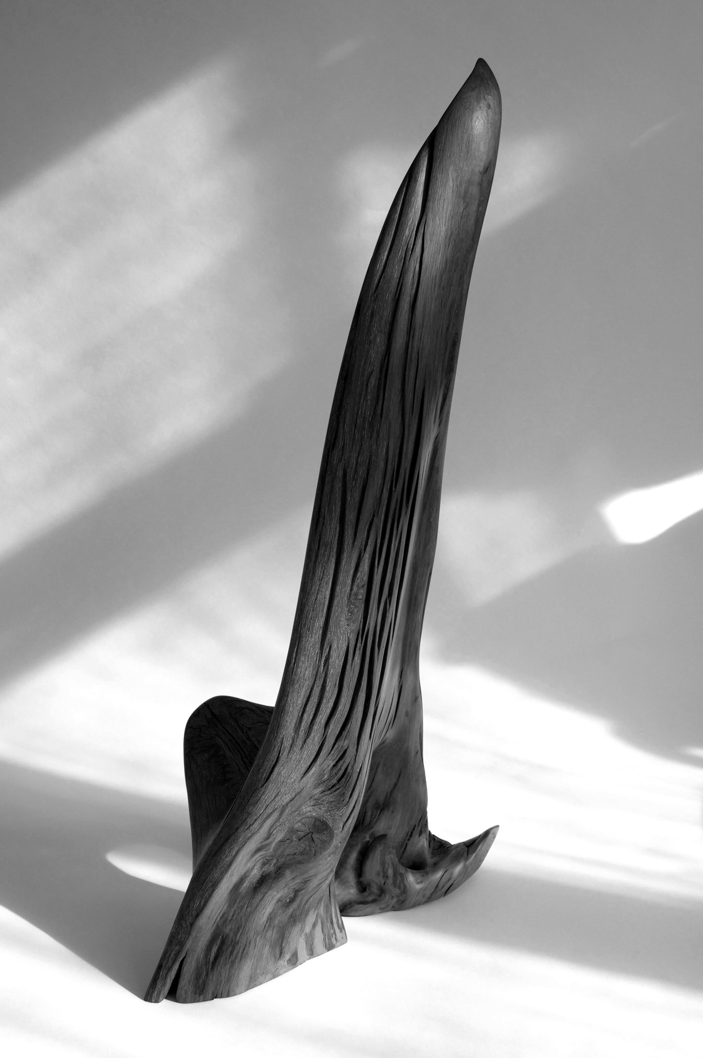 Contemporary S0247 Decorative Object in Fir Wood by Jörg Pietschmann For Sale