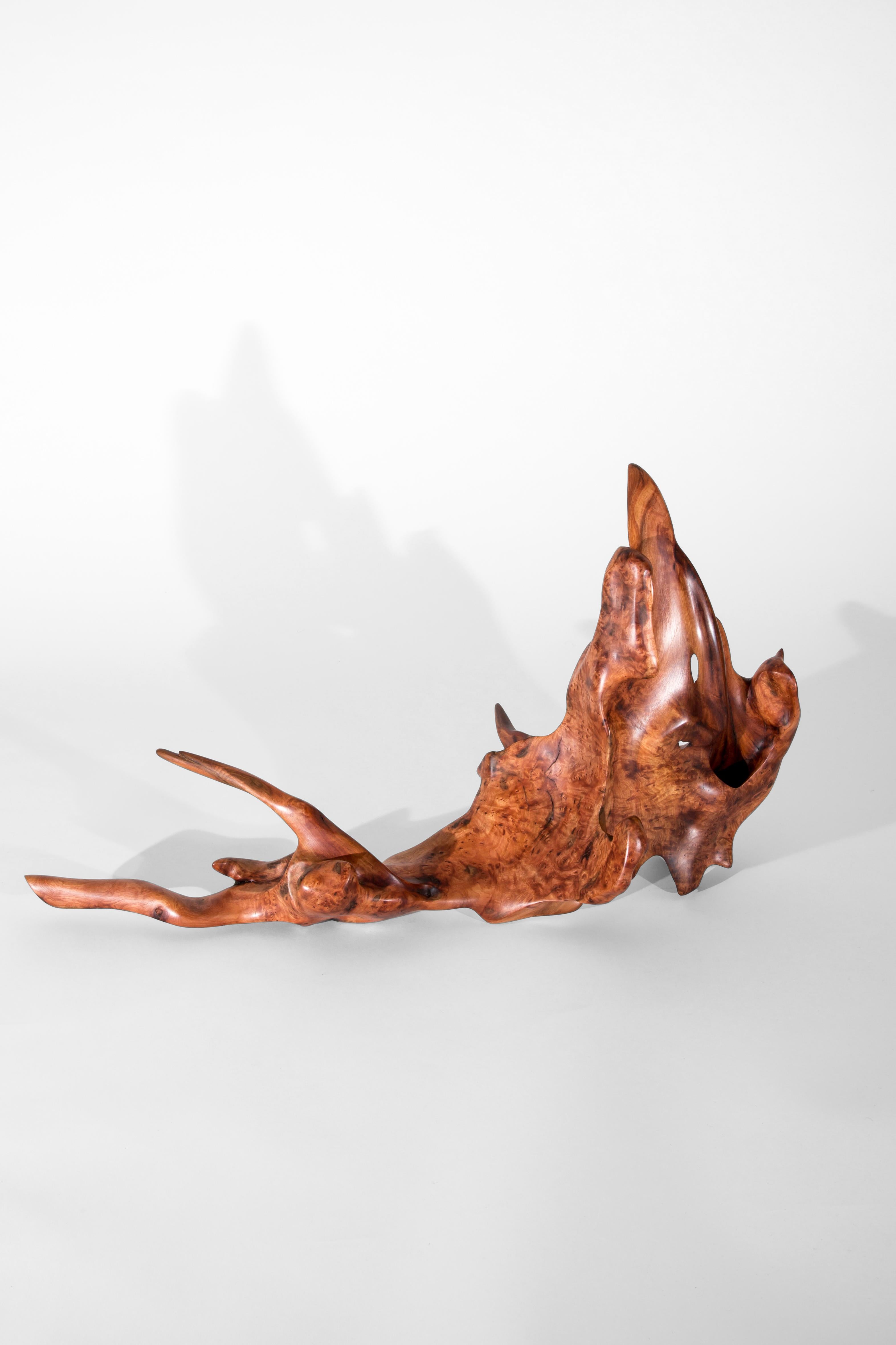 Post-Modern S1090 Decorative Object in Mastix Bush Root Wood by Jörg Pietschmann For Sale