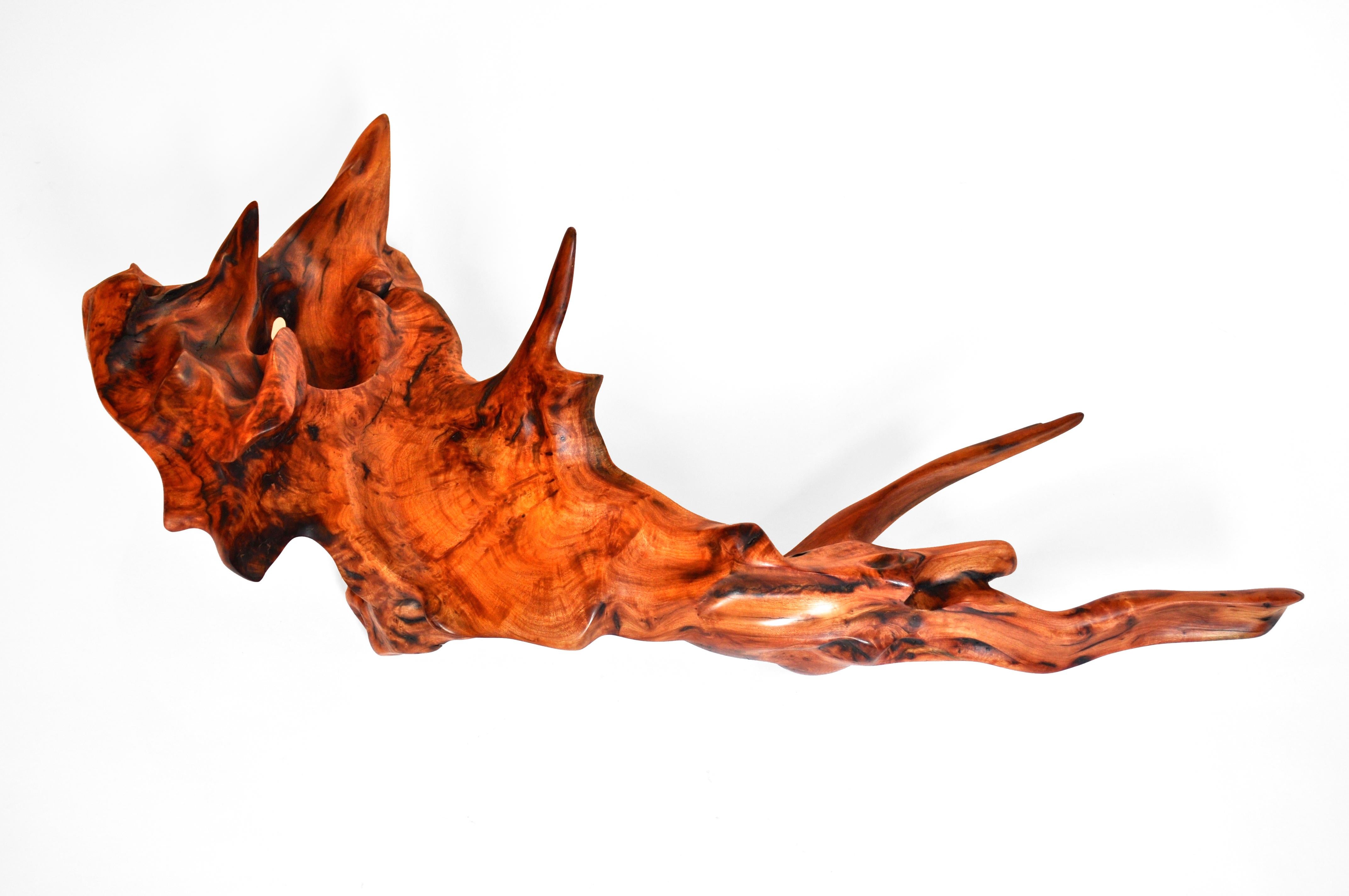 Other S1090 Decorative Object in Mastix Bush Root Wood by Jörg Pietschmann For Sale