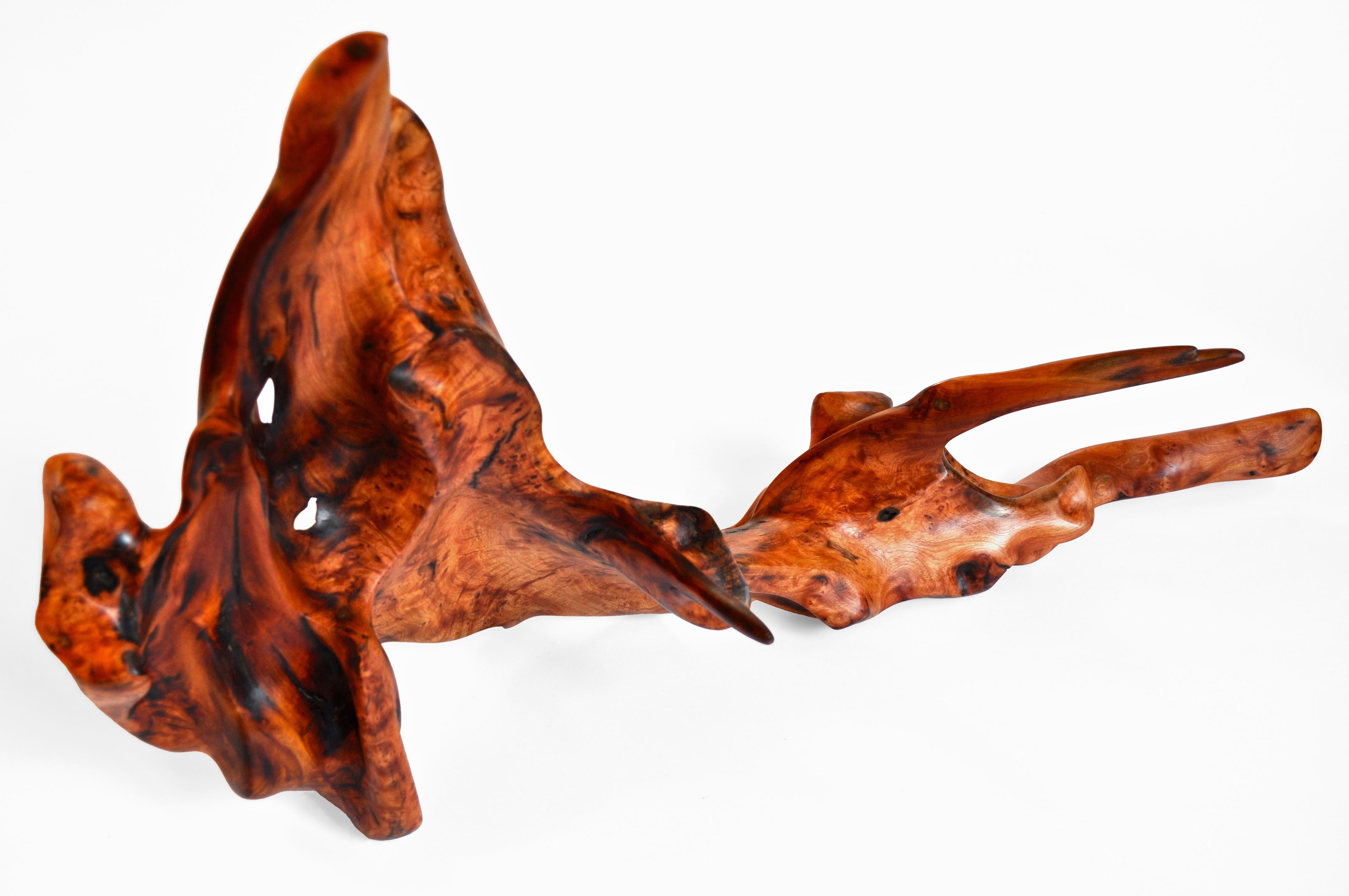 Contemporary S1090 Decorative Object in Mastix Bush Root Wood by Jörg Pietschmann For Sale