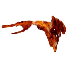 S1090 Decorative Object in Mastix Bush Root Wood by Jörg Pietschmann