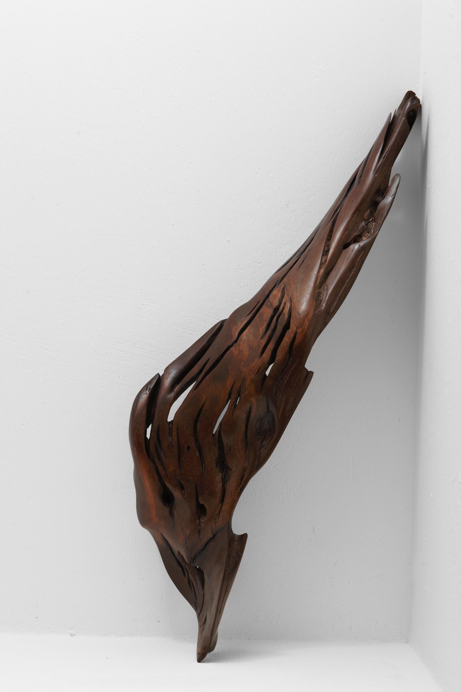 S1100 Ands Objects for Objects Objects en bois flotté tropical par Jörg Pietschmann
Dimensions : D 21 x L 63 x H 11 cm. 
MATERIAL : Bois flotté tropical.

Dans les sculptures de Pietschmann, les arbres qui, pendant des siècles, ont fait partie d'un