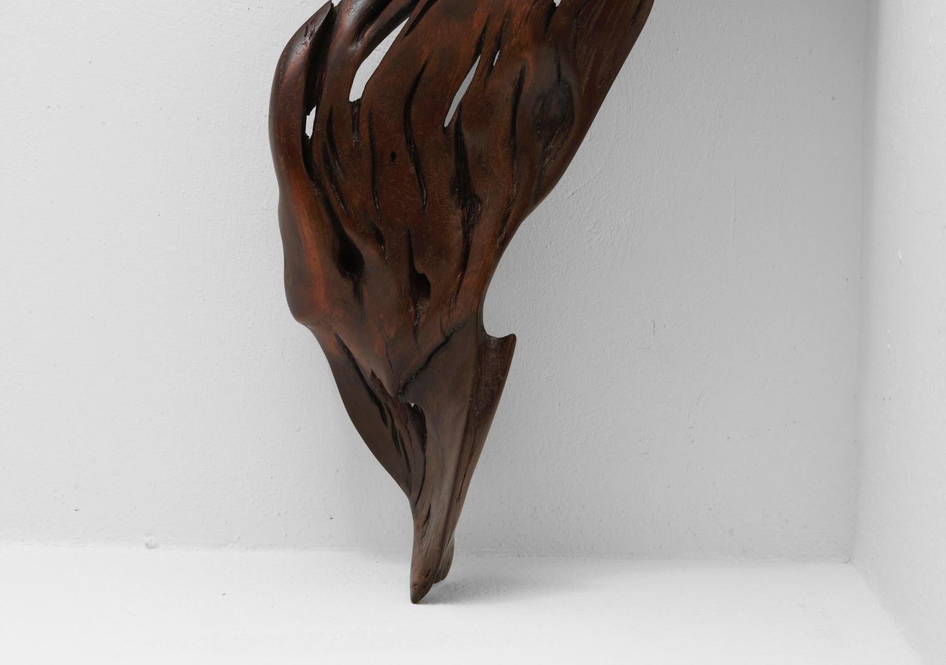 Postmoderne S1100 Ands Objects for Objects Objects en bois flotté tropical par Jörg Pietschmann en vente