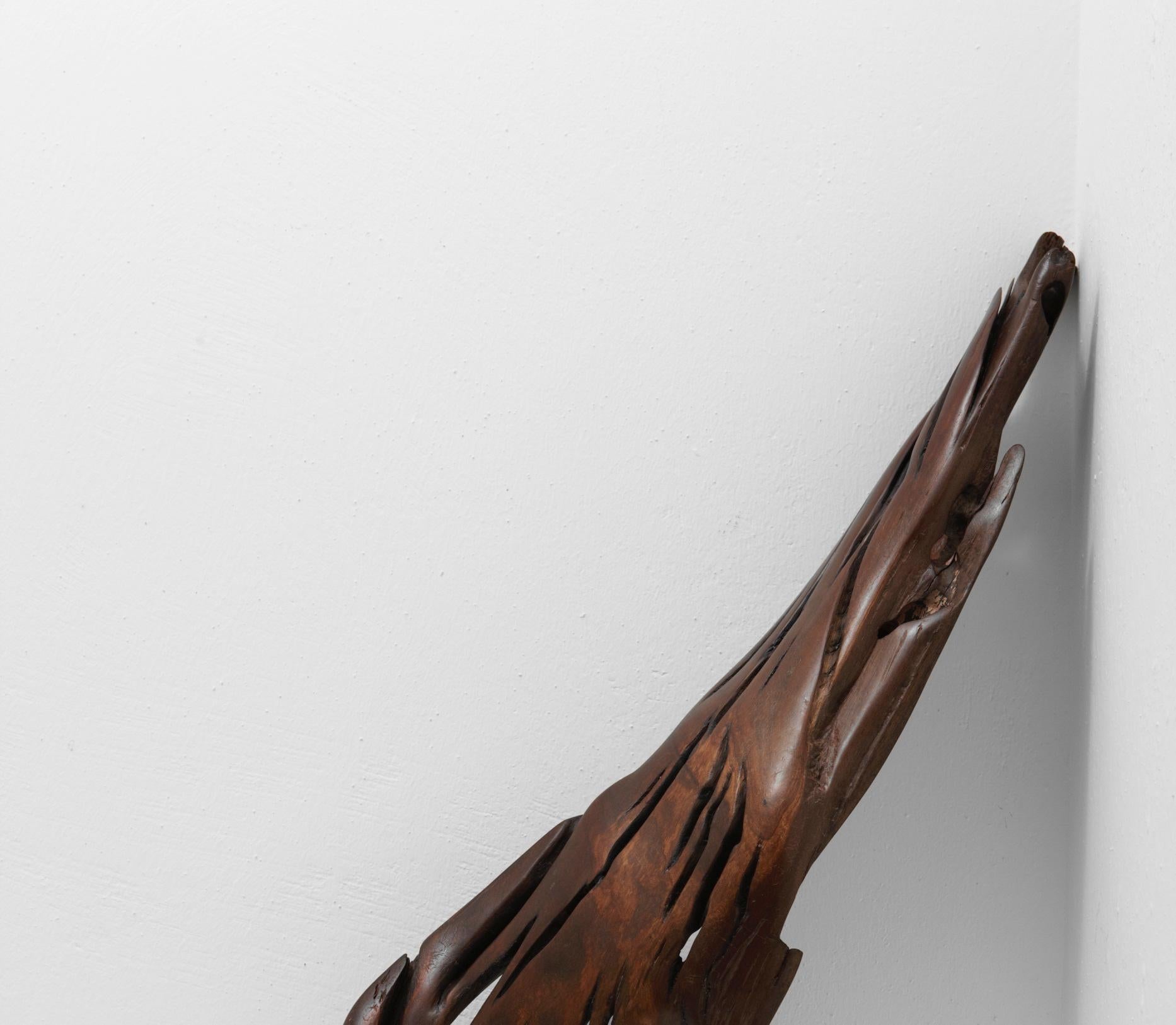 Allemand S1100 Ands Objects for Objects Objects en bois flotté tropical par Jörg Pietschmann en vente