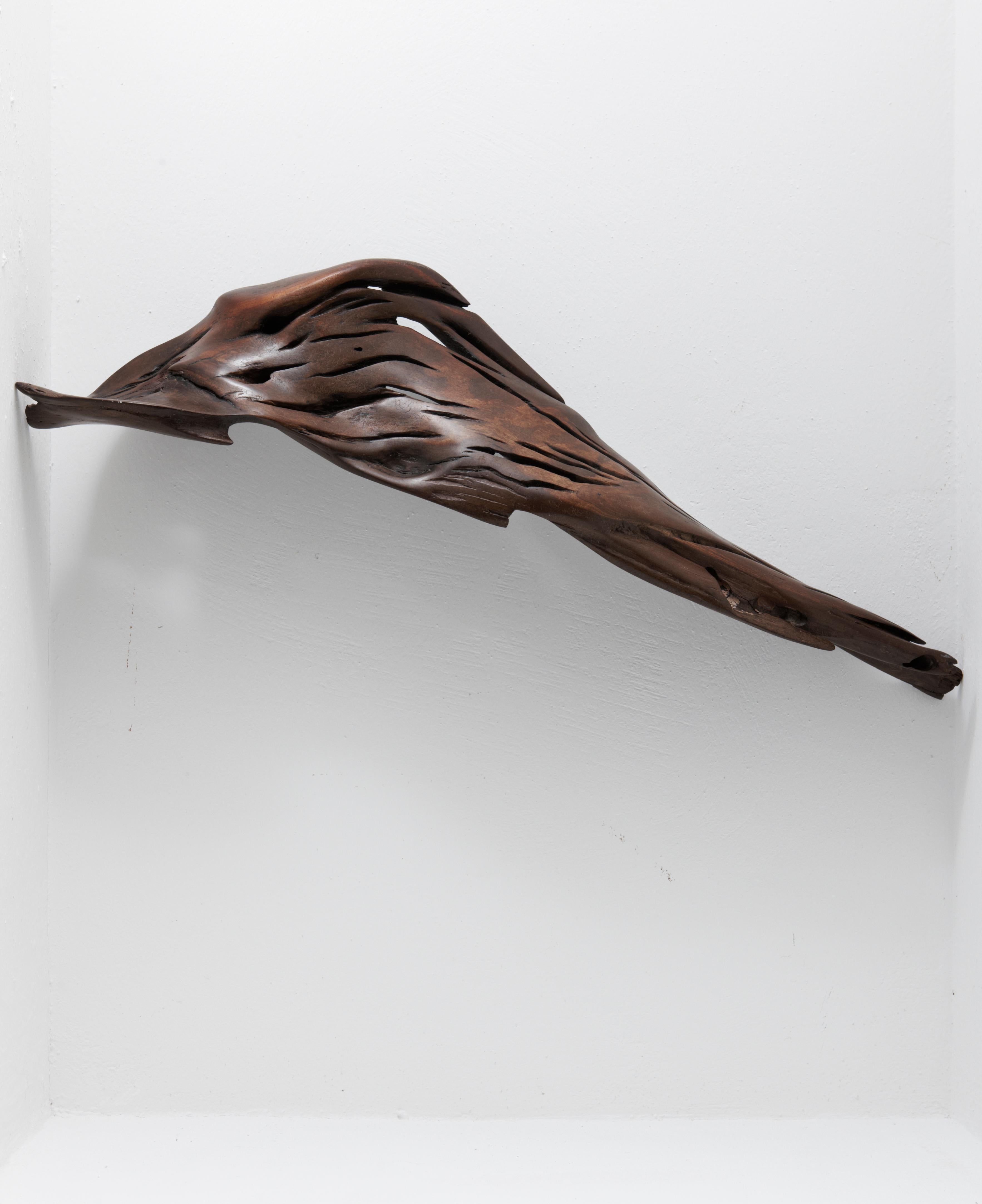 Autre S1100 Ands Objects for Objects Objects en bois flotté tropical par Jörg Pietschmann en vente