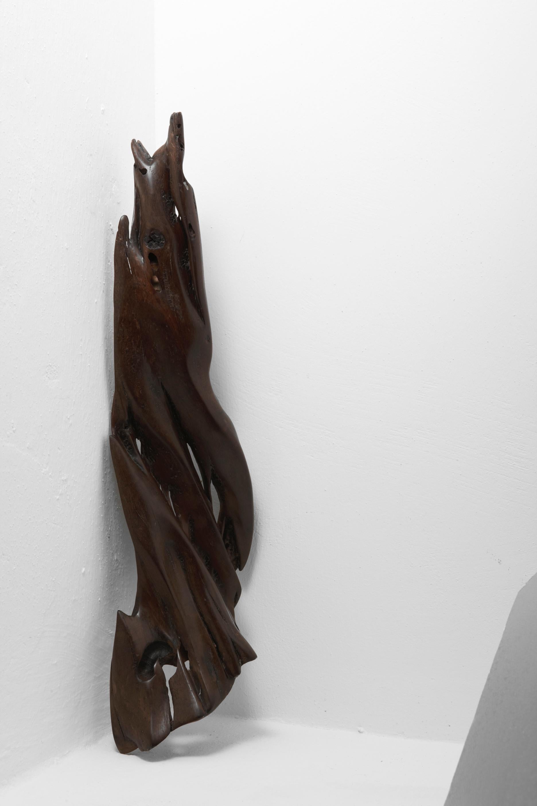 XXIe siècle et contemporain S1100 Ands Objects for Objects Objects en bois flotté tropical par Jörg Pietschmann en vente