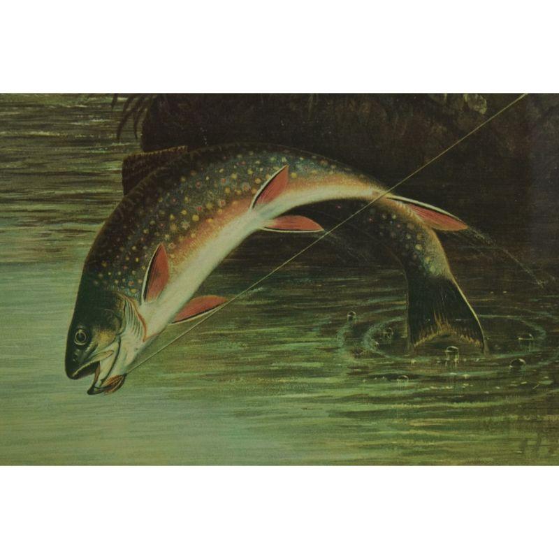 Authorized Orvis Dealer Leaping Trout Colour- Plate by S.A Kilbourne 1878 For Sale 4