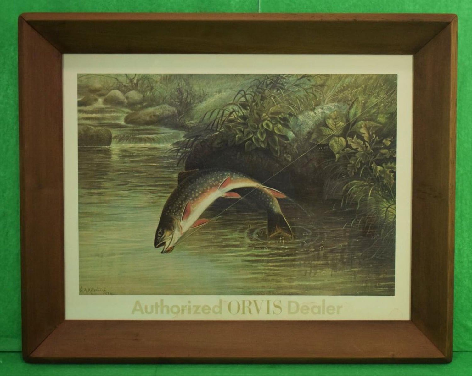Antique Trout Prints - 12 For Sale on 1stDibs