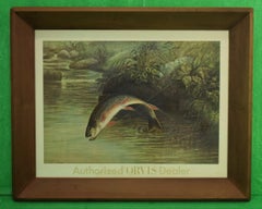 Authorized Orvis Dealer Leaping Trout Colour- Plate by S.A Kilbourne 1878