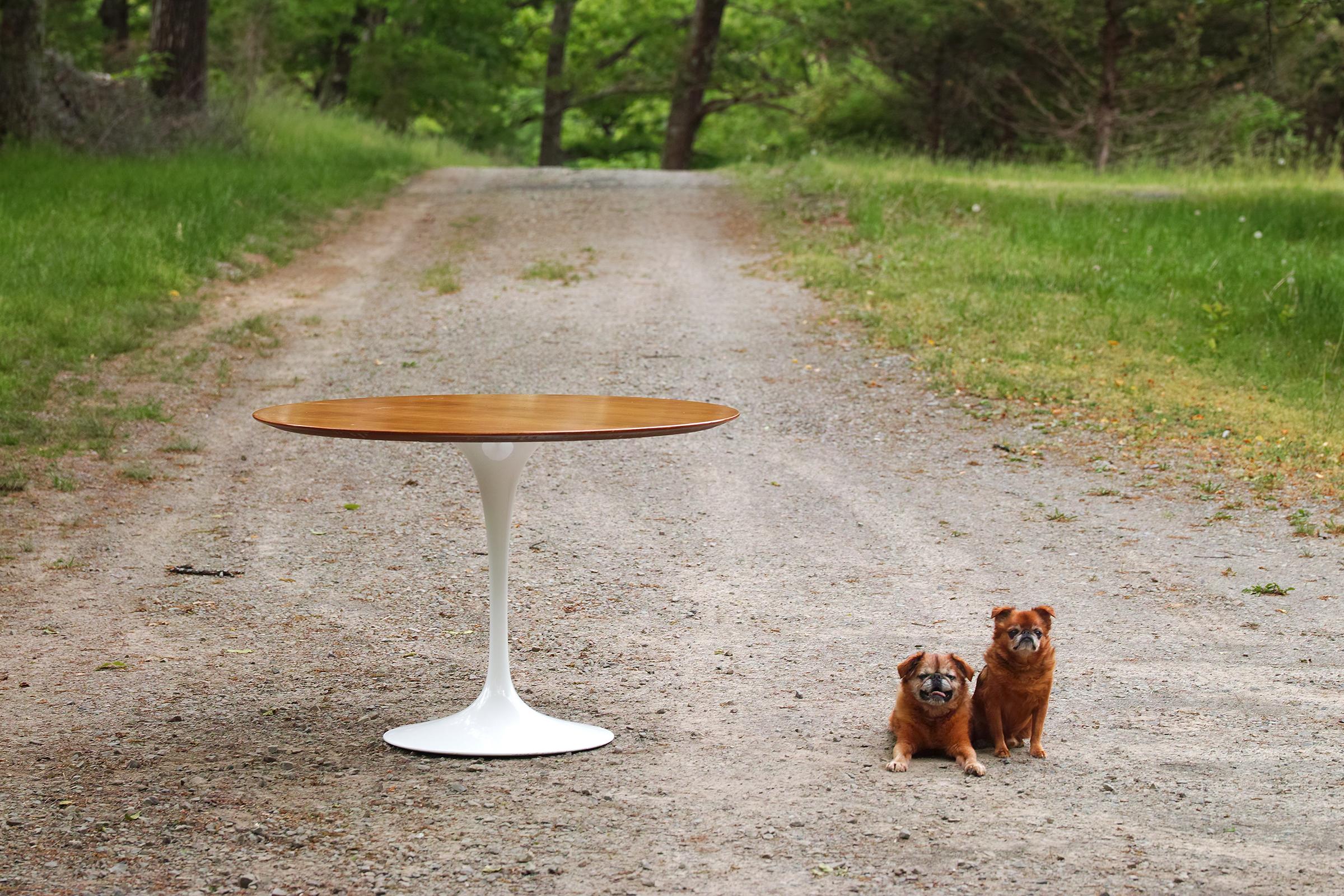 Nous vous proposons cette table de salle à manger ronde à piédestal Saarinen de 42 pouces avec un plateau en bois.  Base en aluminium blanc et plateau en noyer clair. Le plateau est en placage grain de cathédrale avec un bord biseauté en bois