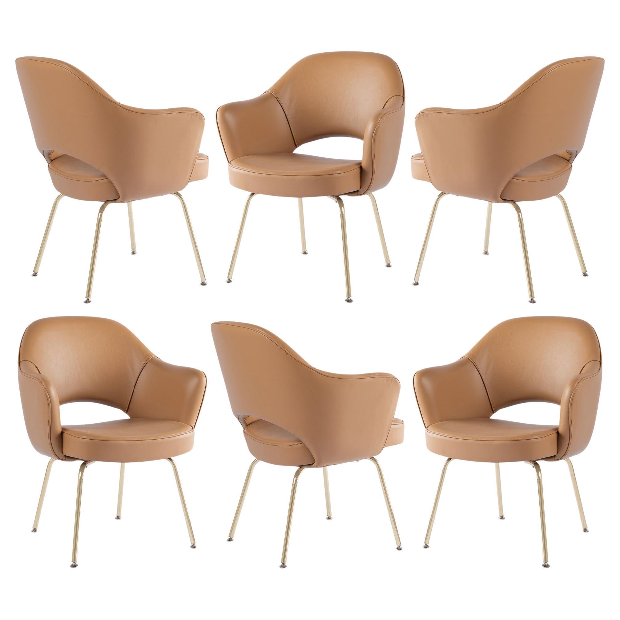 Saarinen Executive Arm Chairs in Camel Leather with Brass Legs, Set of 6