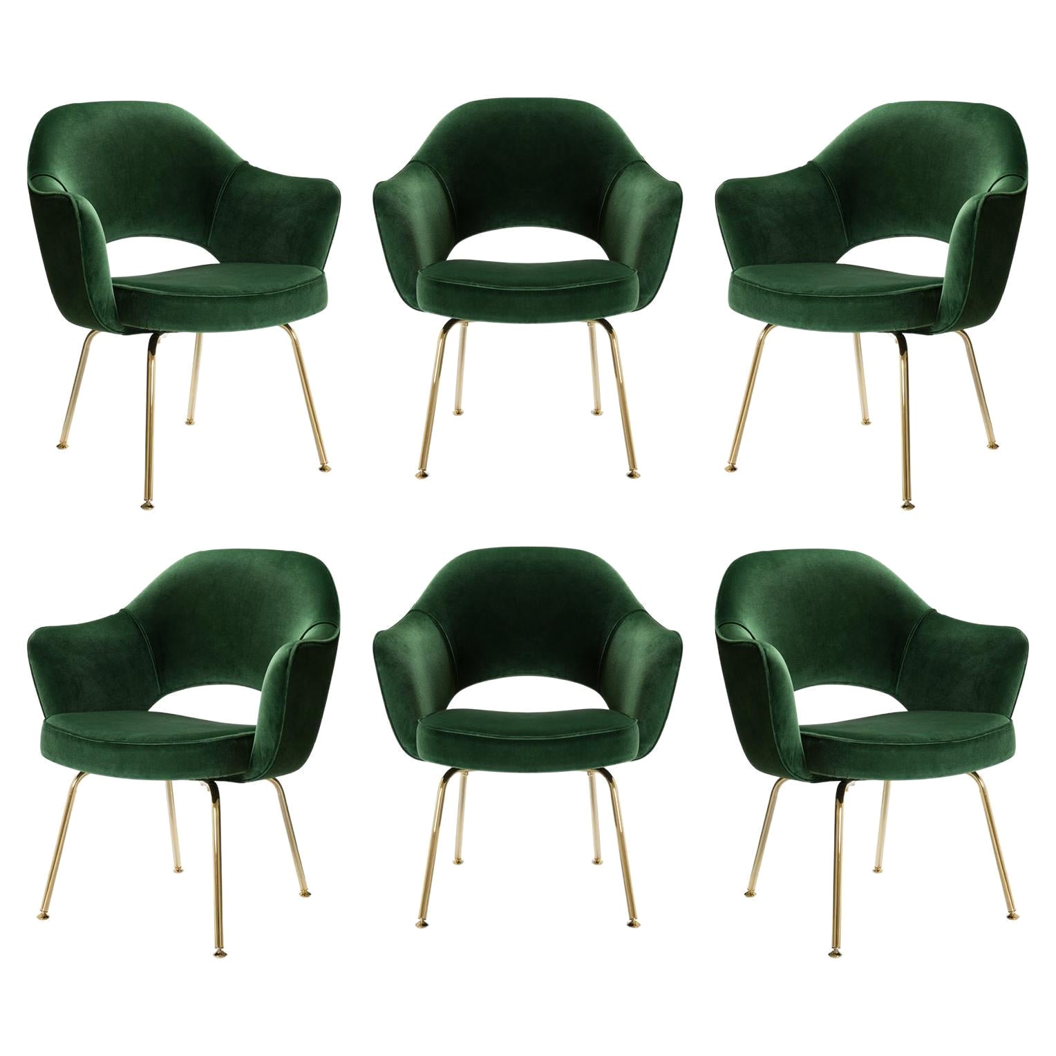 Saarinen Chefsessel aus Smaragdsamt, Goldausgabe, 6er-Set, Set im Angebot