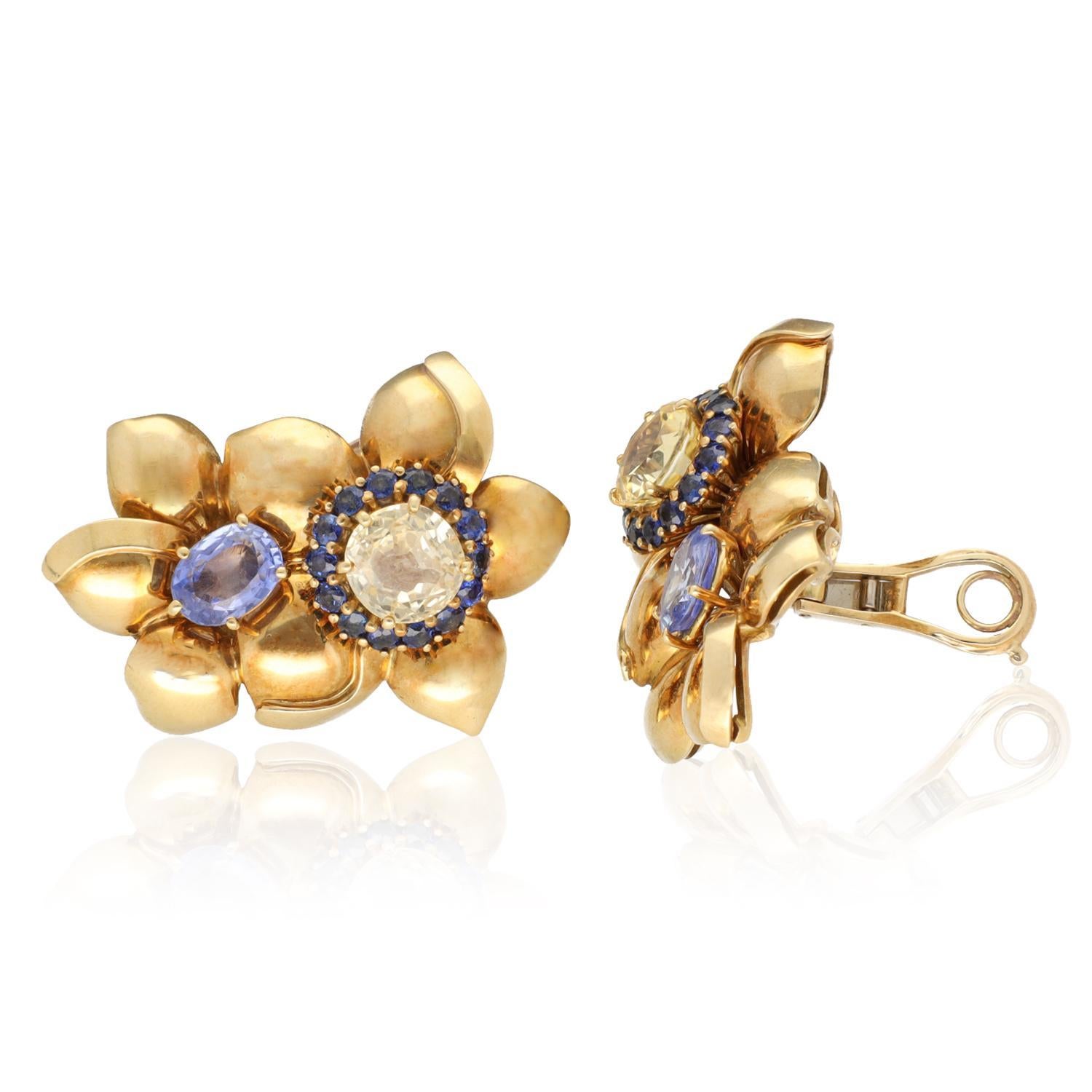 Taille ovale Sabbadini Blue and Yellow Sapphire Earrings en vente