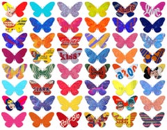 Farfalle Pop 1/1