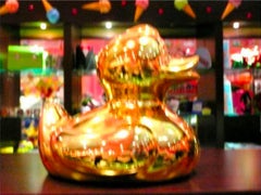 Golden Duck, 2010