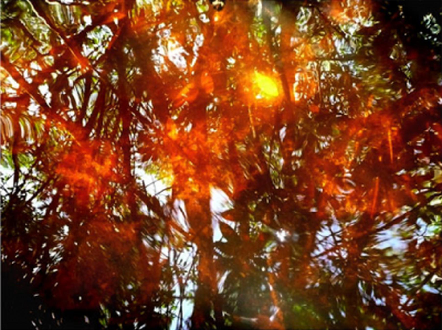 Wasserreflektionen, 2010
