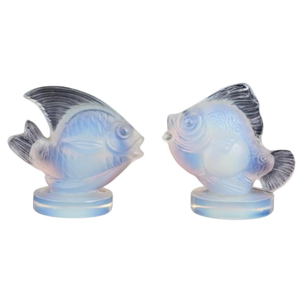 Sabino, France. Deux poissons en verre d'art opalin Art Déco avec  teinte bleutée.