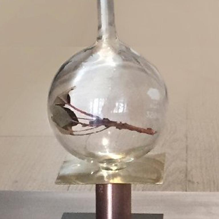 ADN encapsulé échantillon d'arbre dans un tube à essai, échantillon de branche d'arbre dans un laboratoire équipement en verre bronze, cuivre, acier.