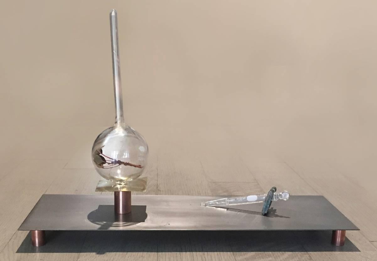 hypothèse - processus d'extraction de l'ADN - état II - - Sculpture de Sabrina Merayo Nuñez