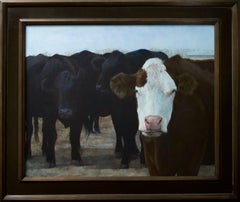 Leona Did Not Suffer Fools Gladly (Cattle, Angus, curious, black, red, white)