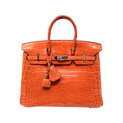 Sac Birkin 25 crocodile Niloticus Mat Sanguine 2012