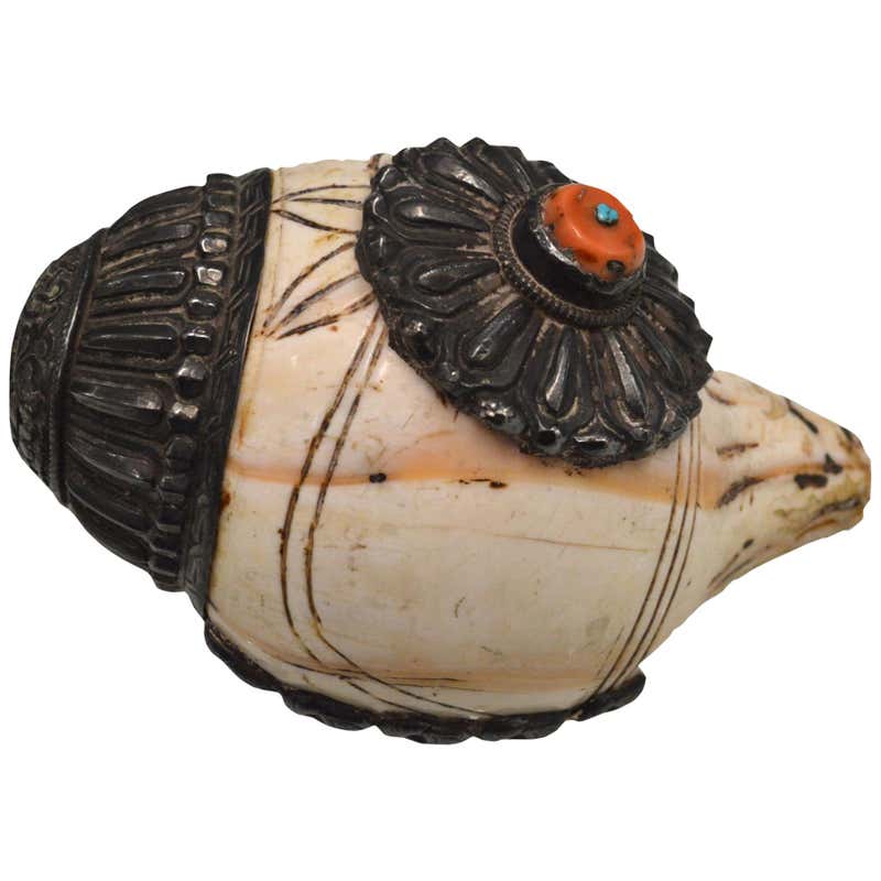 Late Edo Period Horagai Conch Shell Trumpet For Sale at 1stDibs ...