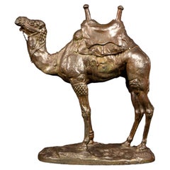 Antique Saddled Camel by Alfred Barye '1839-1882' in Bronze