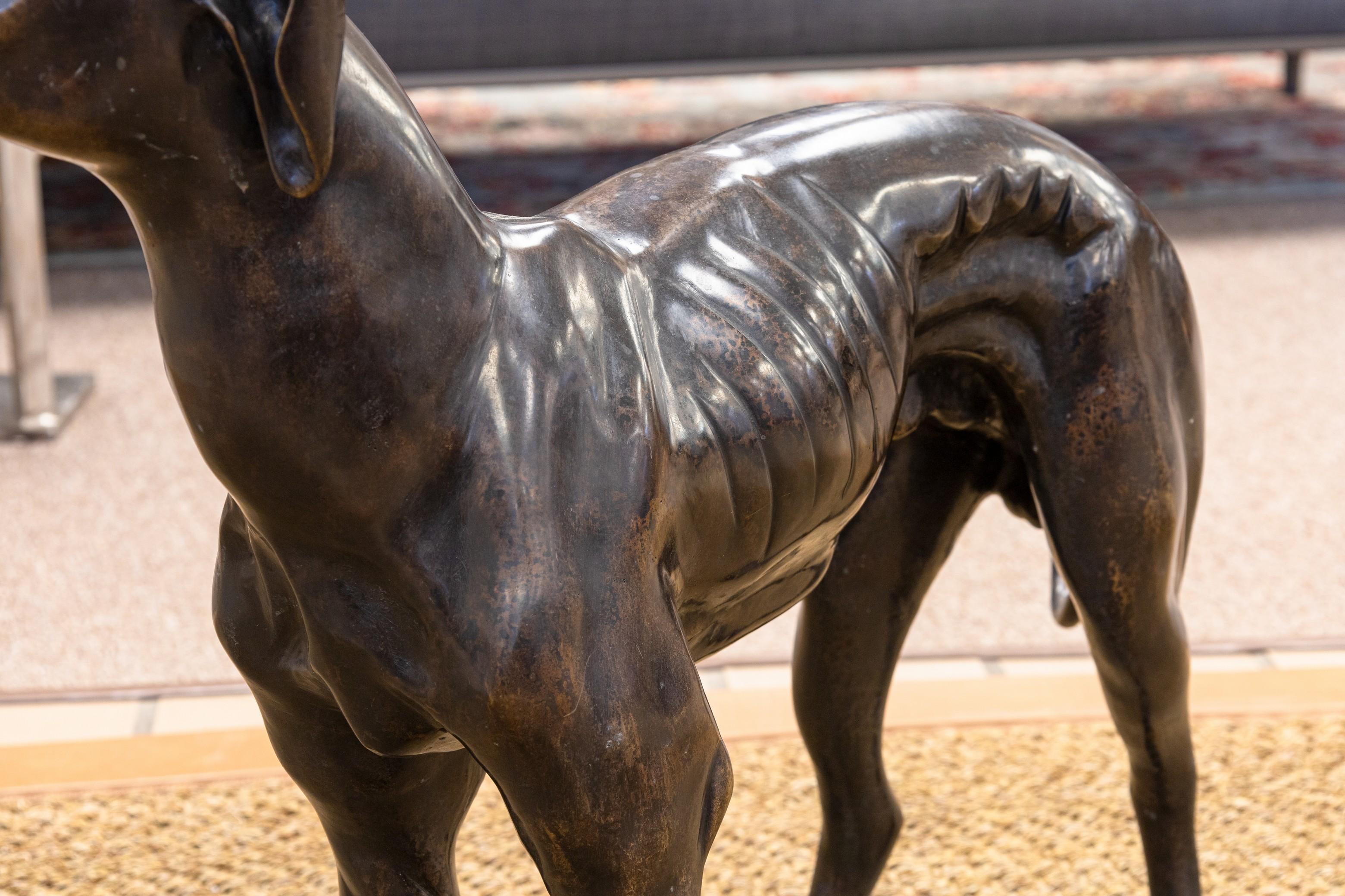 Sadows Bronze Whippet ou Greyhound Dog Life Sized Sculpture en vente 2
