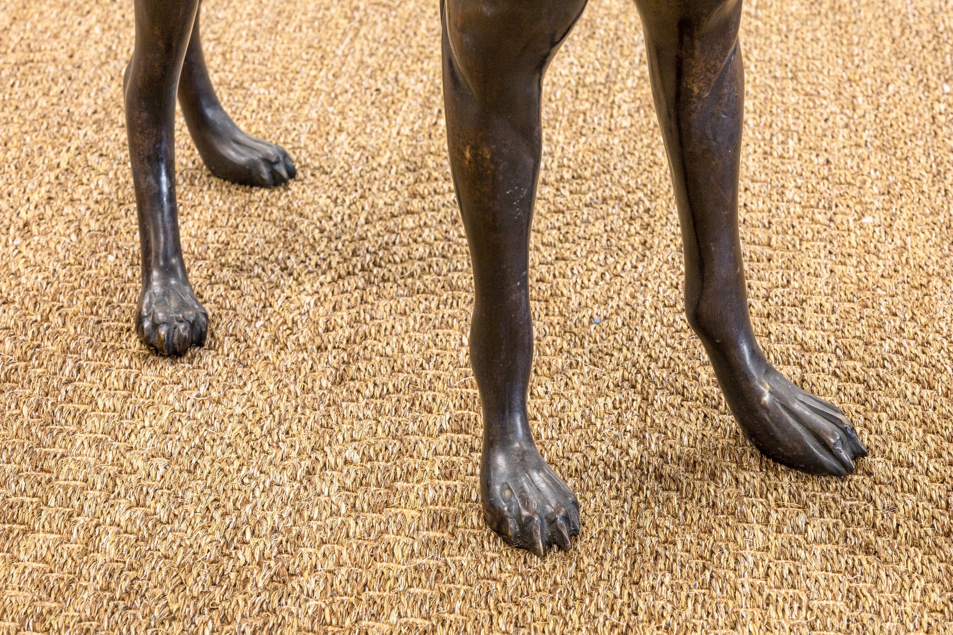 Sadows Bronze Whippet ou Greyhound Dog Life Sized Sculpture en vente 5