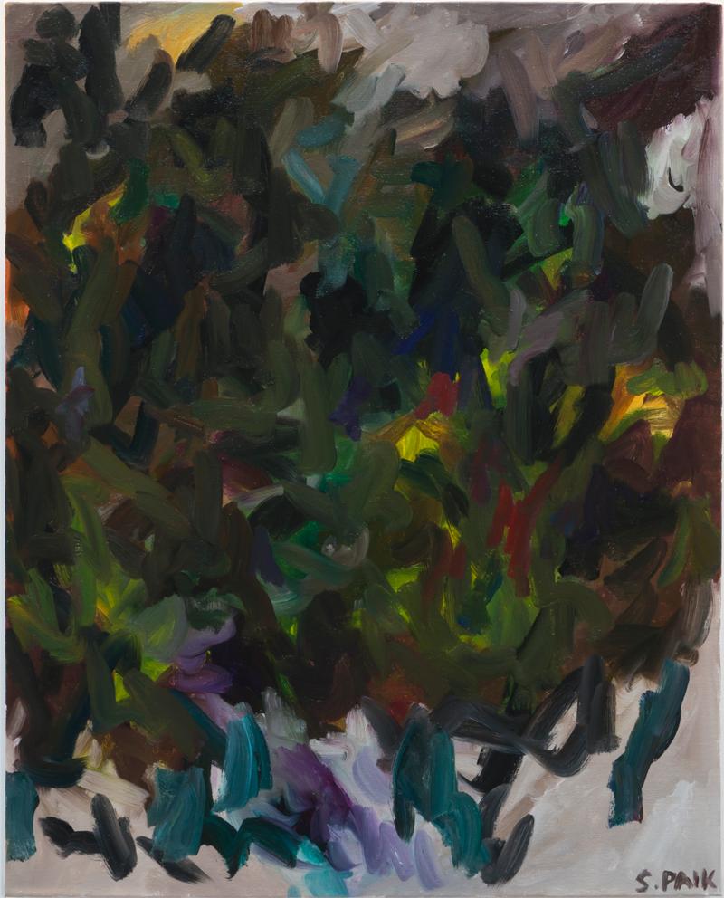 IPAOC0182 - Painting by Saehyun Paik
