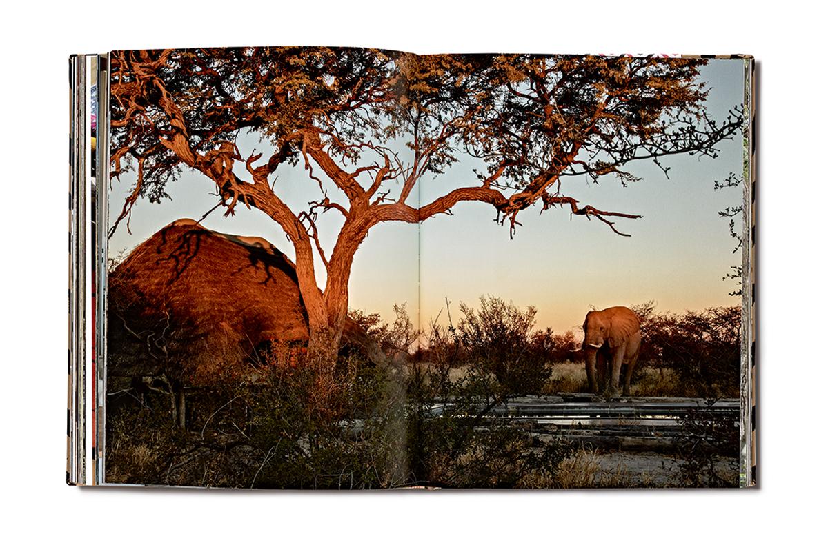 Safari Style Exceptional African Camps and Lodges, Signature Edition 3
